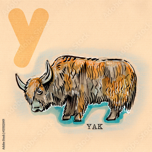 "English alphabet , Yak" photo libre de droits sur la banque d'images