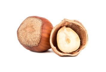 Hazelnut in shell and half