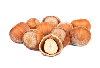 Hazelnuts in shell