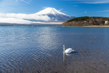 Mt.Fuji and Lake Yamanakako.