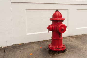 Fototapeta na wymiar Amerikanischer roter Wasserhydrant