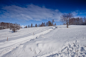 Obraz premium Słoneczny zimowy dzień w górskim mieście Muszyna. Sunny winter day in the mountain in Muszyna - Poland. Polish mountain landscape 