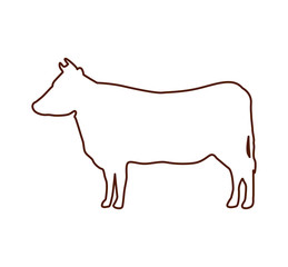 cow animal farm icon vector illustration design