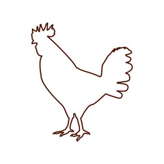 chicken farm isolated icon vector illustration design