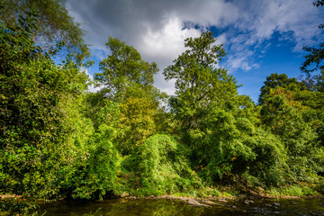 Little Sugar Creek, at Freedom Park, in Charlotte, North Carolin