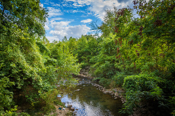 Little Sugar Creek, at Freedom Park, in Charlotte, North Carolin