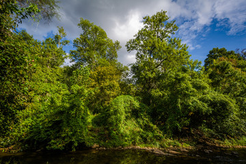 Little Sugar Creek, at Freedom Park, in Charlotte, North Carolin