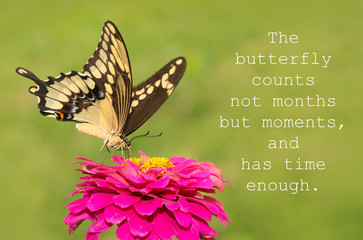 The butterfly counts not months but moments, and has time enough - quote with a Giant Swallowtail...