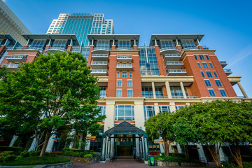 Modern buildings and The Green, in Uptown Charlotte, North Carol