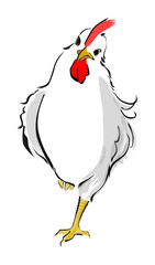 水墨画風のニワトリ　rooster in Suiboku-ga style