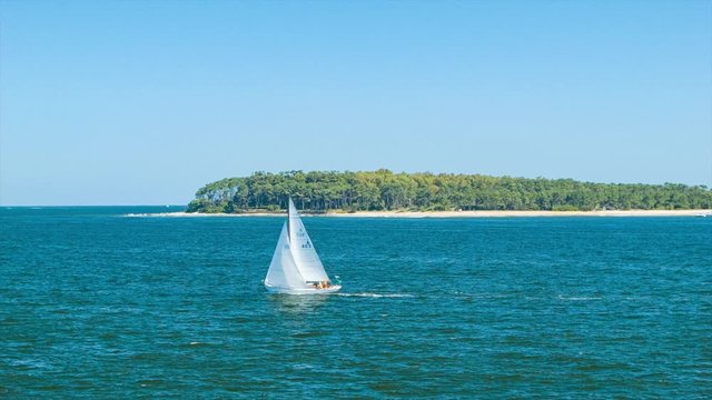 Sailboat Sailing Past South American Island in Punta del Este Uruguay during Perfect Sunny Weather in Summer