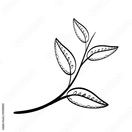 "Decorative leaves in black and white icon vector illustration graphic