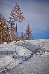 Fototapeta na wymiar Słoneczny zimowy dzień w górskim mieście Muszyna. Sunny winter day in the mountain in Muszyna - Poland. Polish mountain landscape 