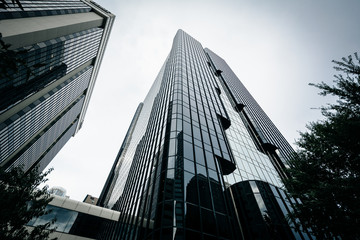 Modern buildings in Uptown Charlotte, North Carolina.