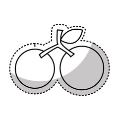 fresh fruit drawing icon vector illustration design