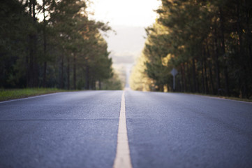 Morning light on the road.