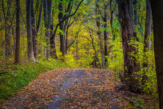 Colorful hiking trail in Lancaster County Central Park