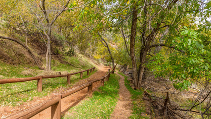 Road with a wooden fence for the ride in the park. Zion National Park, Utah, USA