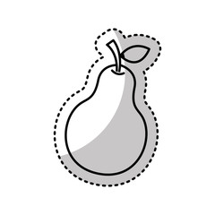 fresh fruit drawing icon vector illustration design