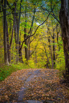 Colorful hiking trail in Lancaster County Park