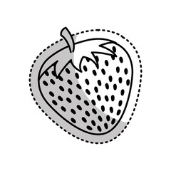 fresh fruit drawing icon vector illustration design