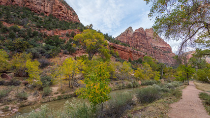 Narrow pathway through the canyon along the river. Zion National Park, Utah, USA