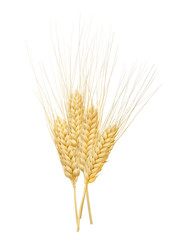 Vertical wheat ears composition isolated on white background