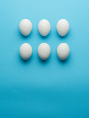 White chicken eggs on the blue background.