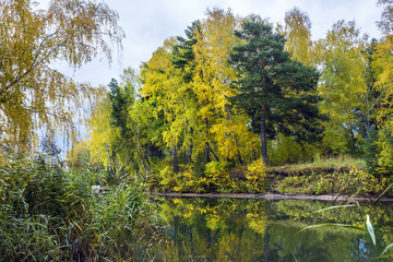 Fototapeta premium Autumn landscape on the river