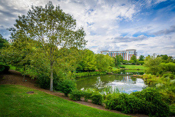 The lake at Symphony Park, in Charlotte, North Carolina.
