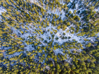 Aerial photo of winter forest