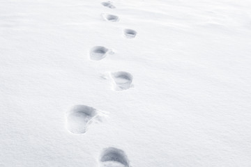 Footprints in the snow