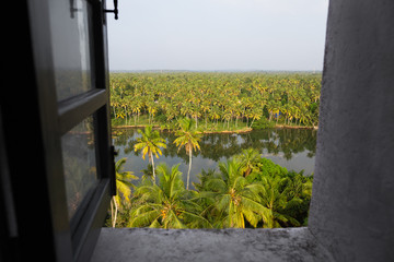 Open grey window with top view of bright palm grove