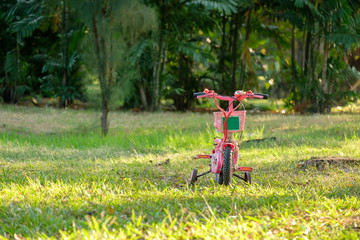 Children bike in park.