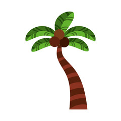 tree palm tropical icon vector illustration design