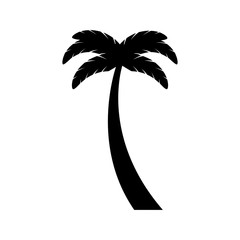 tree palm tropical icon vector illustration design