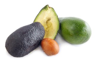 avocado fruits