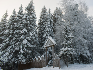Winter forest covered with snow in the frosty haze 