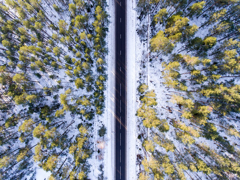 Aerial photo of empty black road, trees and snow - vertical.