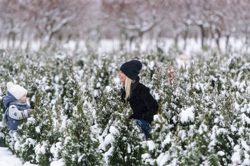 Young mother and her baby daughter play in snow among small fir trees.