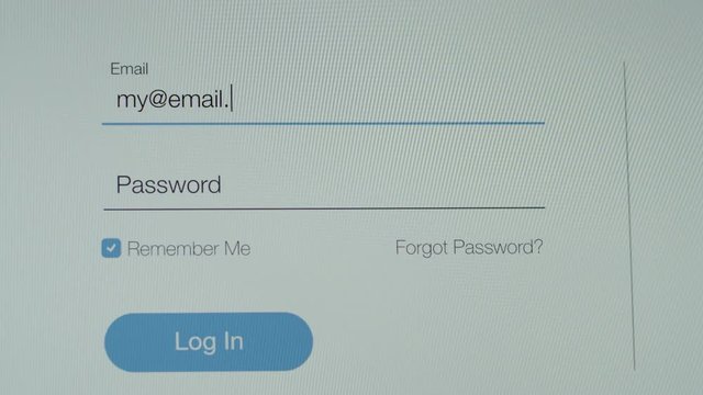 Log in to website entering email and password