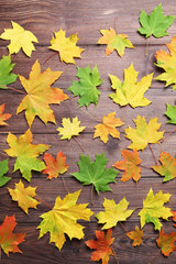 Naklejka na ściany i meble Autumn leafs on brown wooden table