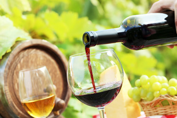 Pouring red wine into the glass