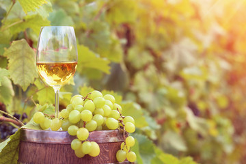 Wine in glass with bunch of grape on wooden barrel