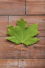 Autumn leaf on brown wooden table