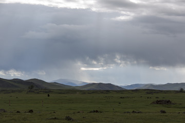 Die Steppe der mittleren Mongolei