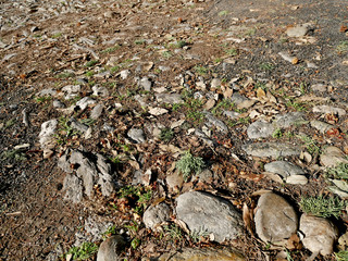 Old road surface with holes covered with raw asphalt. 