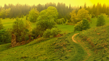 wiosenny poranek w Pieninach © Janusz Lipiński