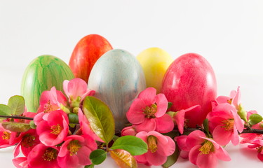 Painted Easter eggs and Japanese rose flowers