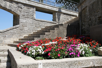 Fototapeta na wymiar a flower bed in San Marino